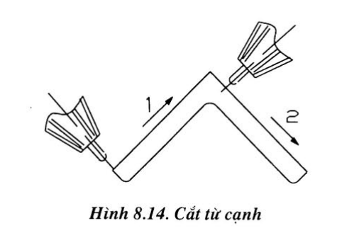 "cat-5.png"