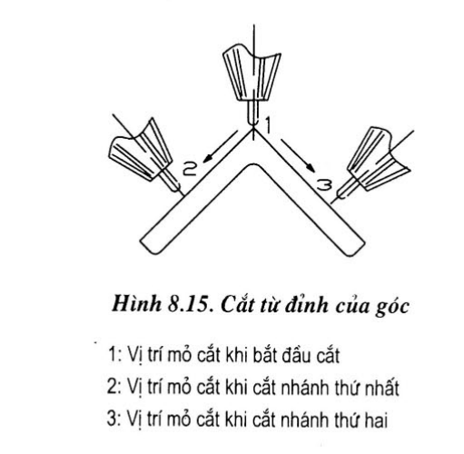 "cat-6.png"